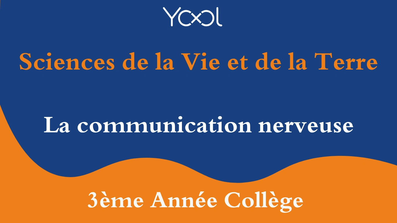 YOOL LIBRARY | La communication nerveuse