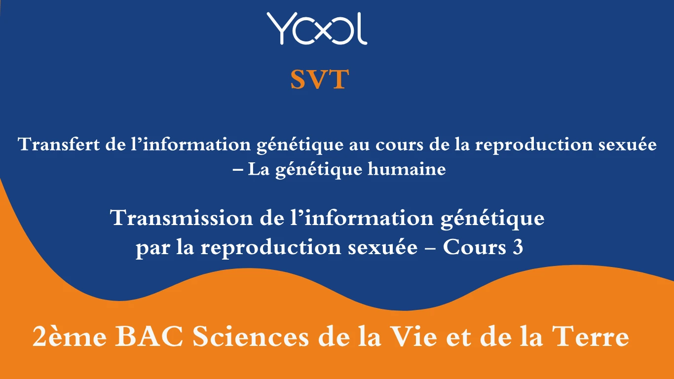 YOOL LIBRARY | Transmission de l’information génétique par la reproduction sexuée - Cours 3