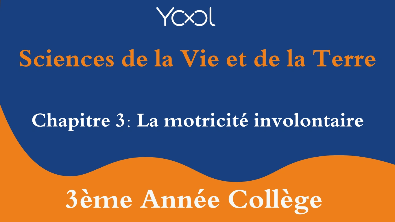 YOOL LIBRARY | Chapitre 3: La motricité involontaire